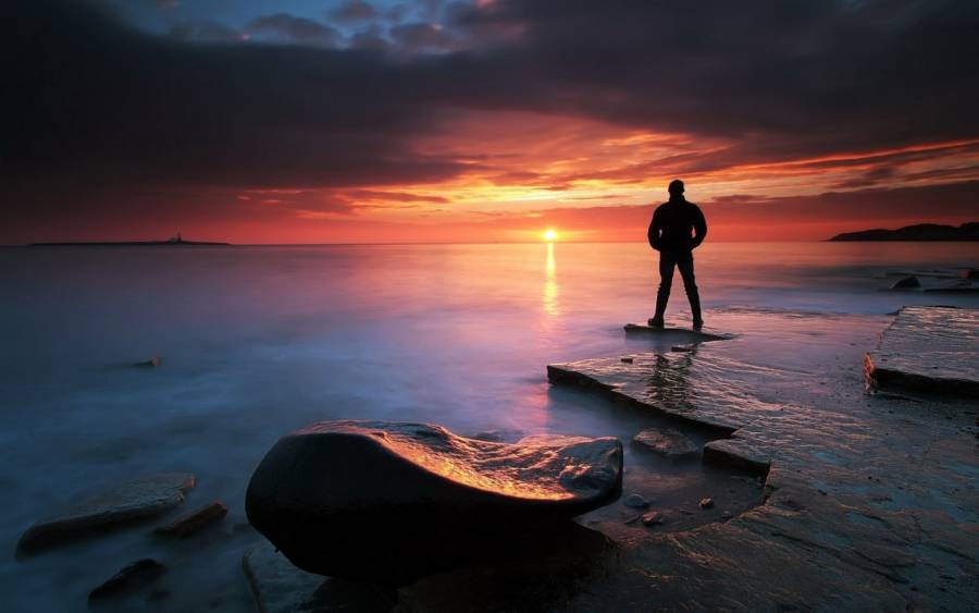 Оставшиеся в живых  самое интересное только начинается