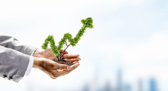 Как влияет на обороты и прибыль компании системное развитие персонала