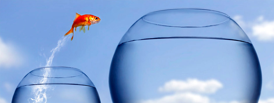 Выход из зоны комфорта или ее расширение 