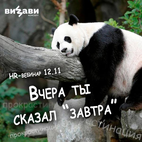 HR вебинар  Вчера ты сказал  8220 завтра 8221   Прокрастинируем с пользой и правильно 