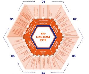 Создание HR стратегии через огонь воду и медные трубы