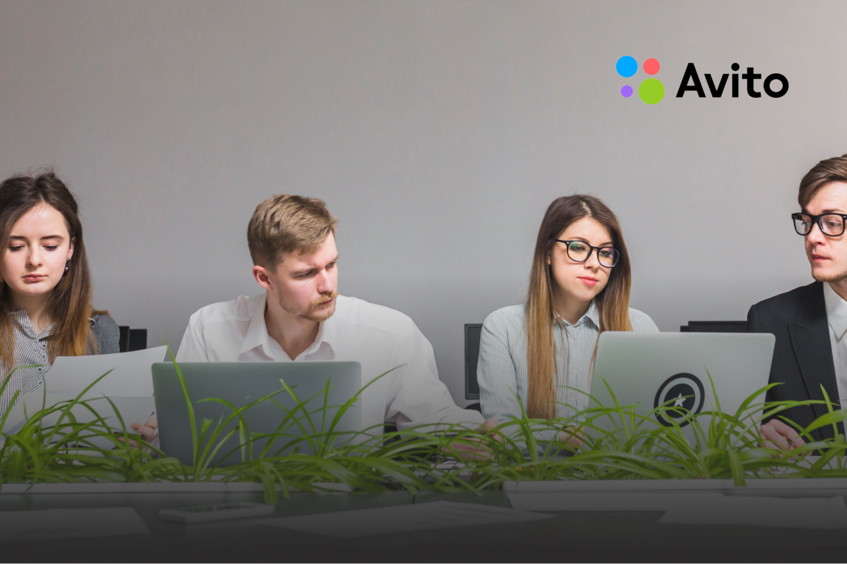 Авито Работа  половина россиян испытывали карьерную зависть